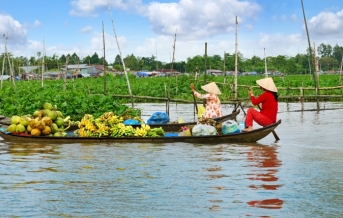 Mekong delta -  rieka deväťhlavého draka